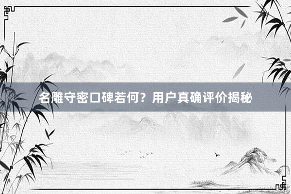 名雕守密口碑若何？用户真确评价揭秘